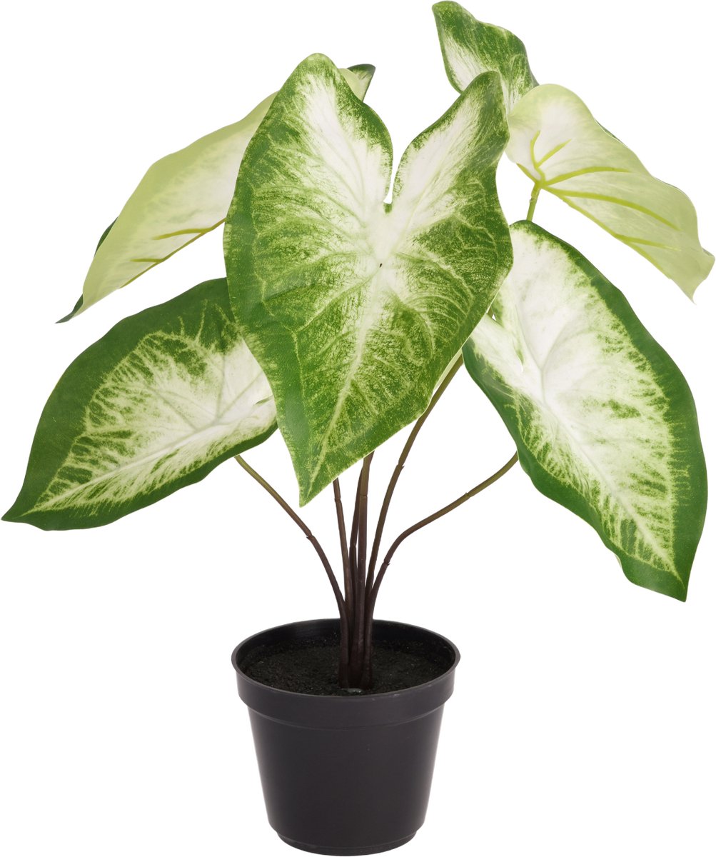 Caladium Aron kunstplant 45cm in kweekpot