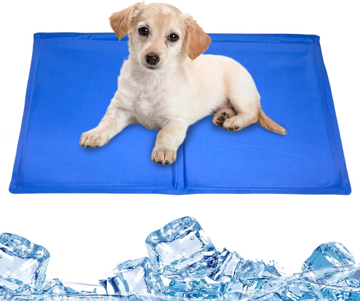 Honden Koelmat - Huisdier Mat - Hond Koel Houden - Krasbestendige Gel - 19L x 10B cm - Blauw