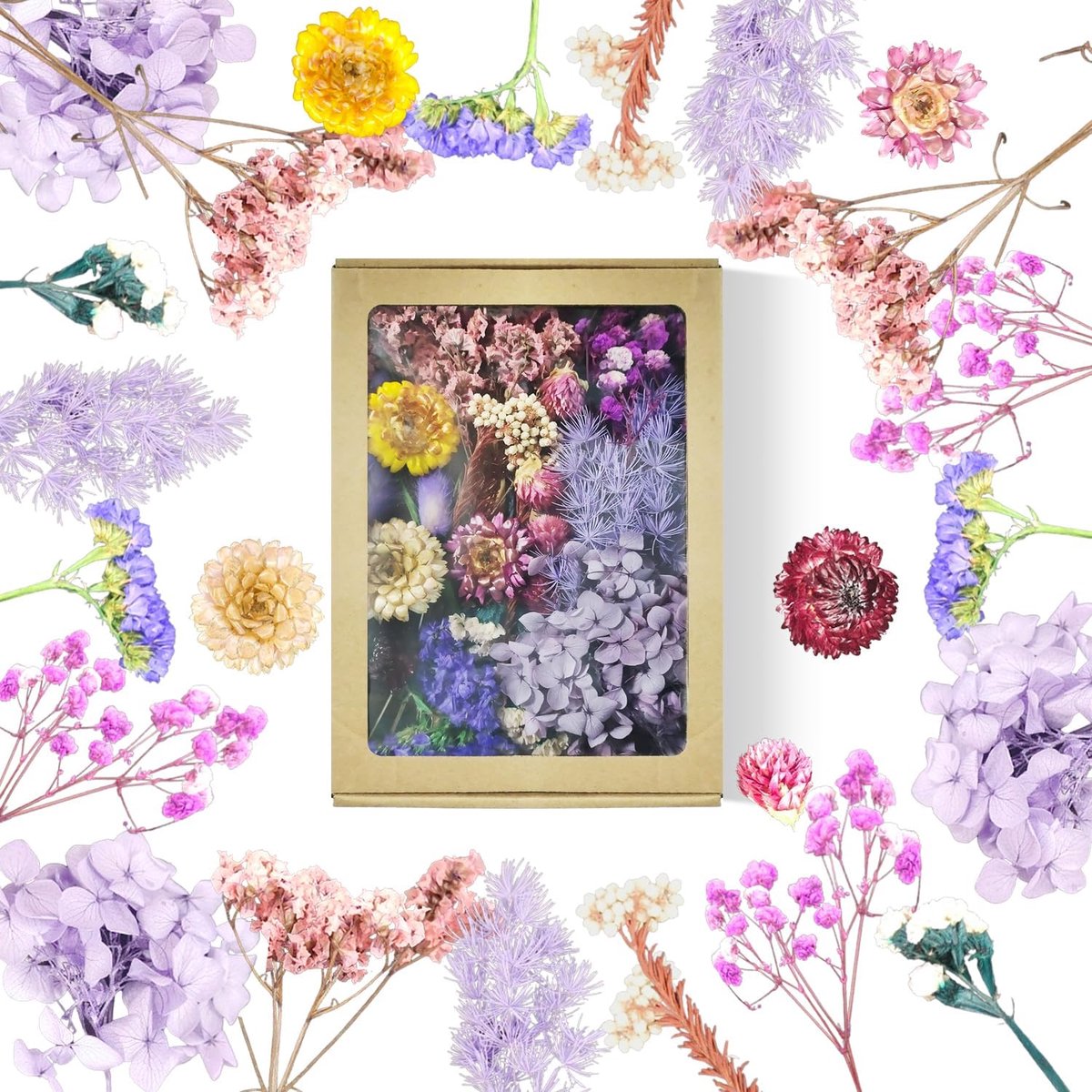 SnelShoppen - Natuurlijke Gedroogde Bloemen in Paars Papieren Doosje - Perfect voor Decoratie, Bruiloften, Feestjes, Tuin en Huis - Duurzaam en Milieu