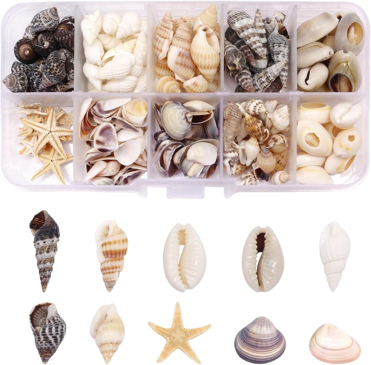 220 Stuks Van Kleine Zeeschelp Ambachten, Natuurlijke Zeeschelp Decoraties, Handgemaakte Diy Materiaal Pakketten, Hangers Voor Zeesterren En Zeeschelp Armbanden.