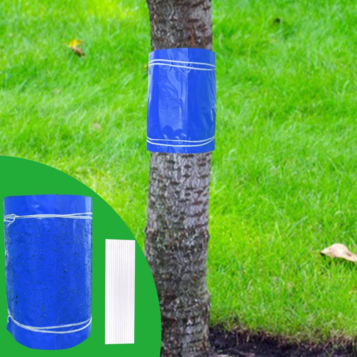 Lijmringen, 3 meter, blauwe borden, zelfklevend, rupsenlijm voor fruitbomen, mierenlijmring, boom, stambescherming, boomlijmring voor kersenboom, appelboom, pruimenboom