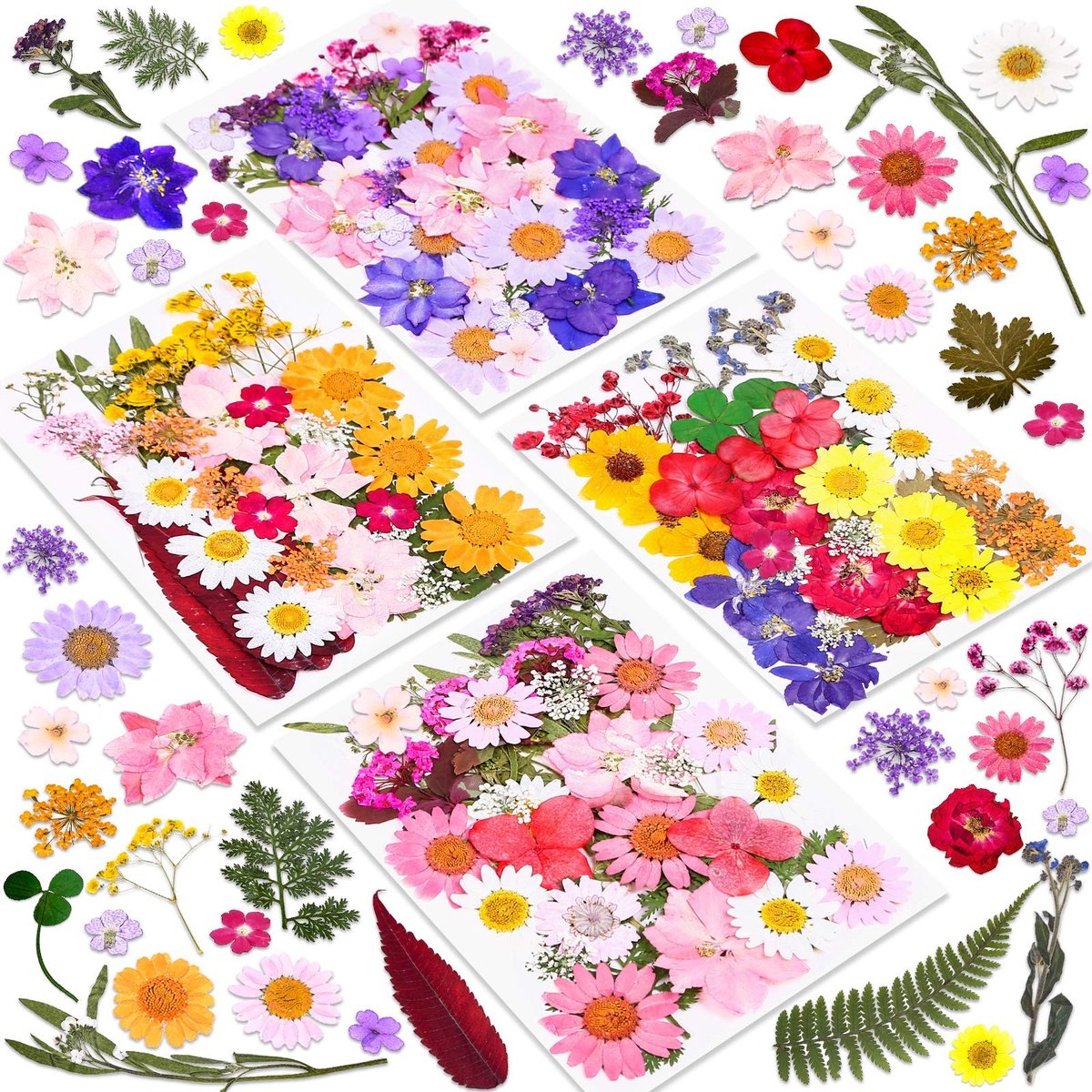 Omgoods - 140 Stuks Gedroogde Bloemen voor Hars en DIY Creaties