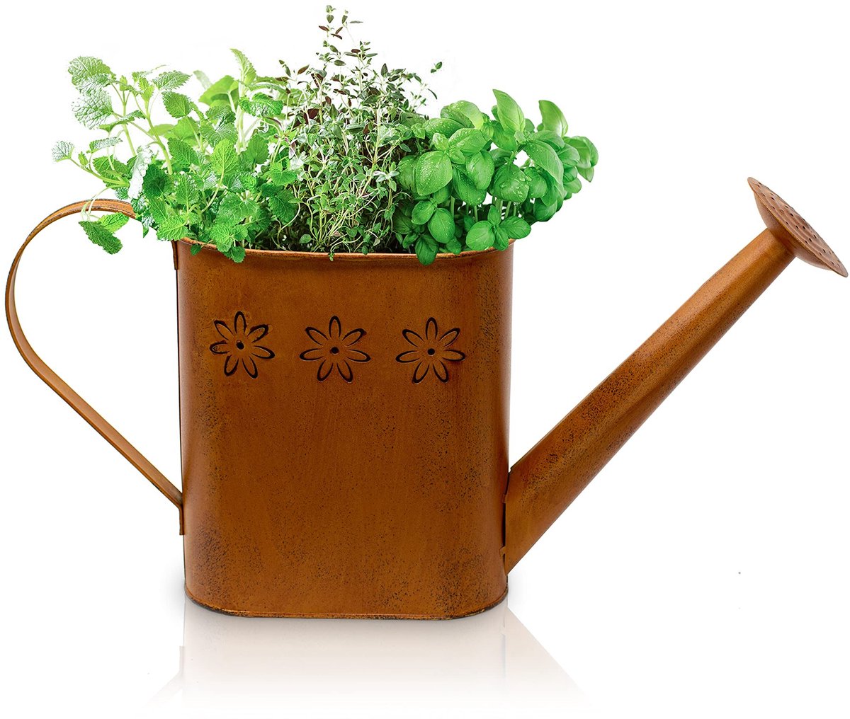 Omgoods - Vintage Waterkan met Patina - Decoratieve Tuinaccessoire - Bruin Metaal