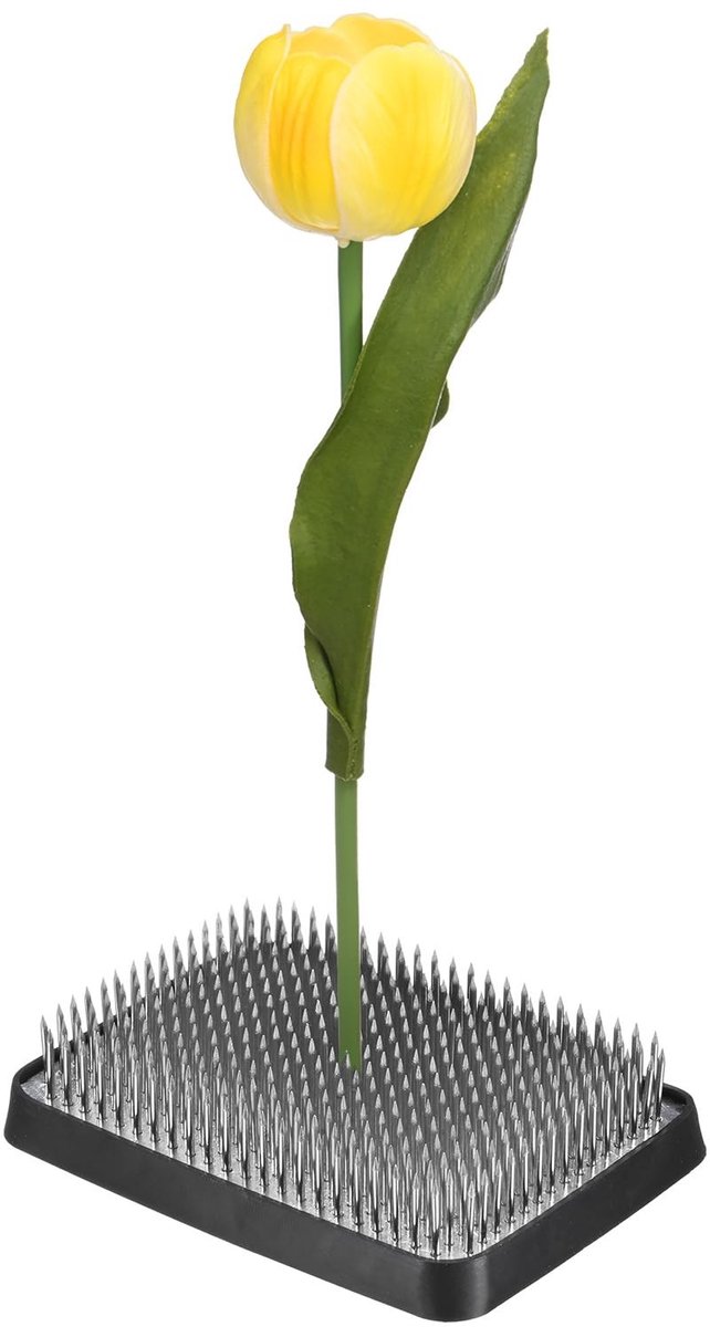 Omgoods - Bloemenkikker 9,6 cm x 7 cm met Rubber Basis voor Bloemstukken
