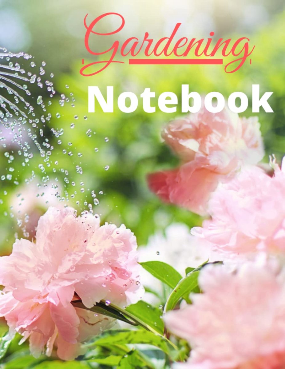 notebook class 1 to 5: Composition ruled notebook