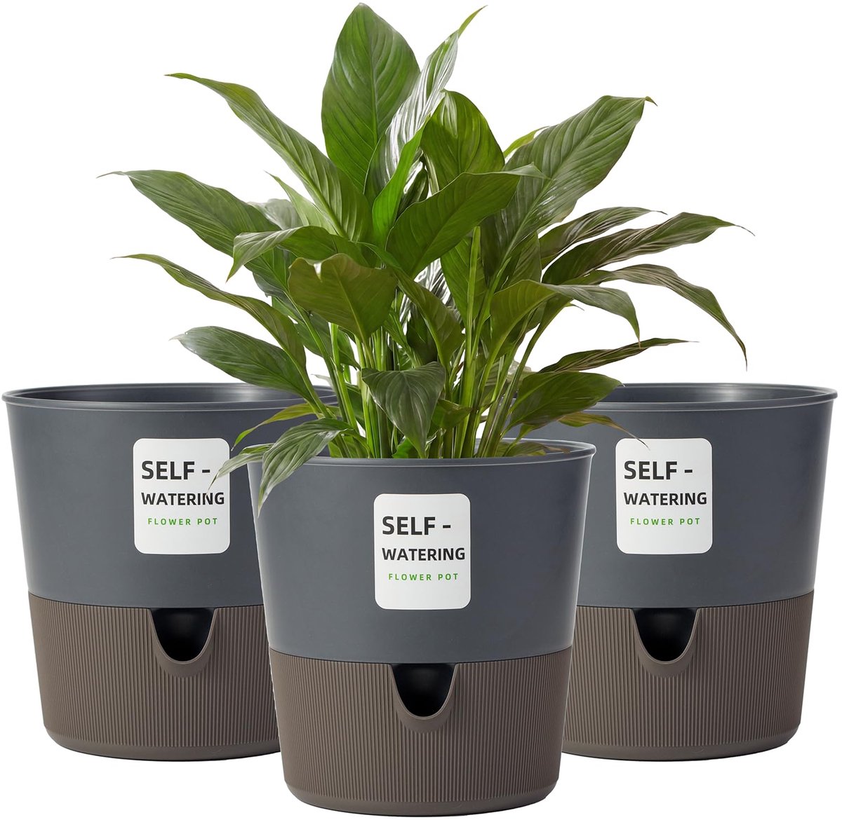 Omgoods- Plantpotten Zelfwaterend - 3 Stuks - 16,5 cm - Binnen - Modern Design - BPA-vrij Plastic - Zichtbare Waterpeilindicator - Bloempot