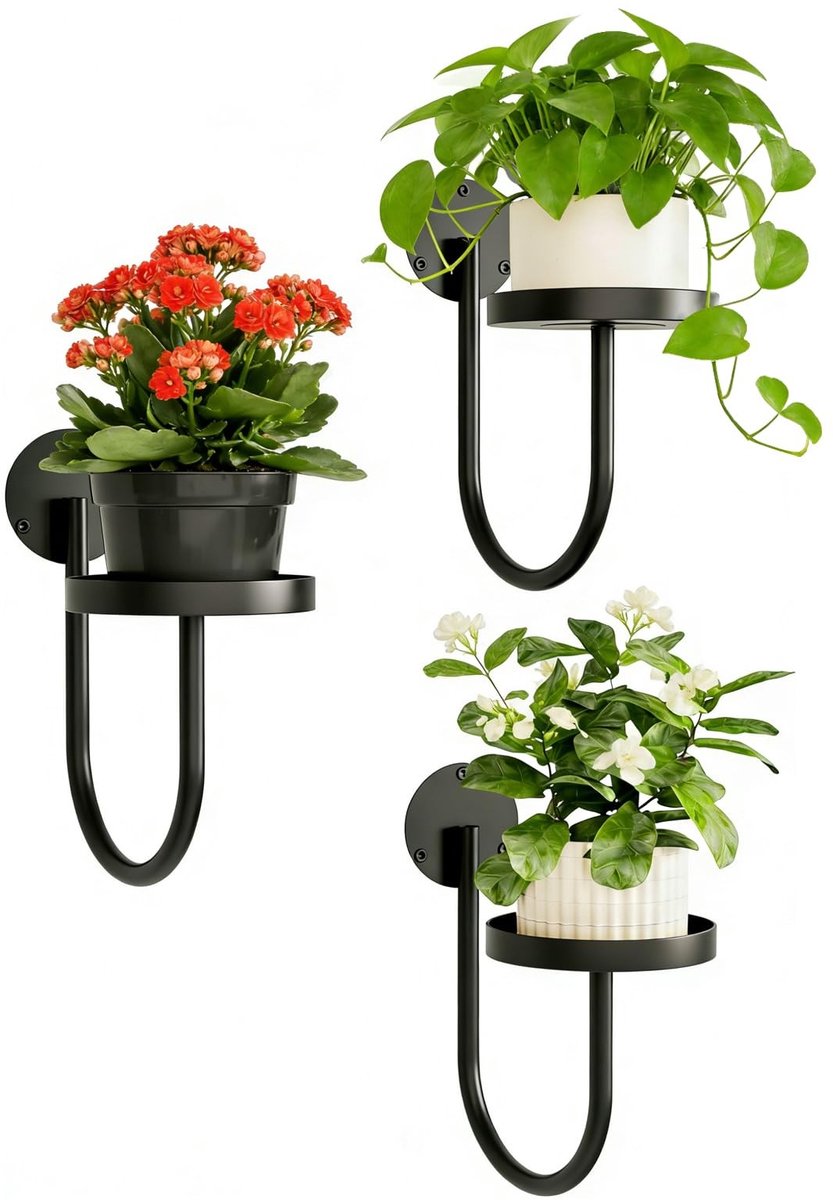 Omgoods - Set van 3 Metalen Wandplantenrekken voor Binnen en Buiten