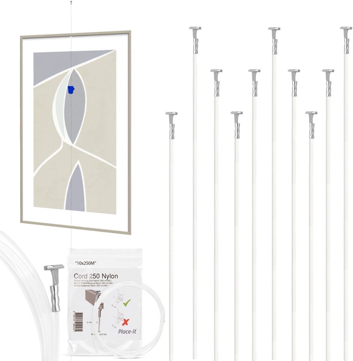 Omgoods - Nylon Schilderij Hangkoord (10 stuks) - 2mm/250cm voor Zware Schilderijen