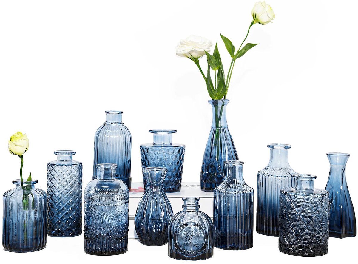 Omgoods - Set van 12 Mini Glazen Vazen voor Bloemdecoratie