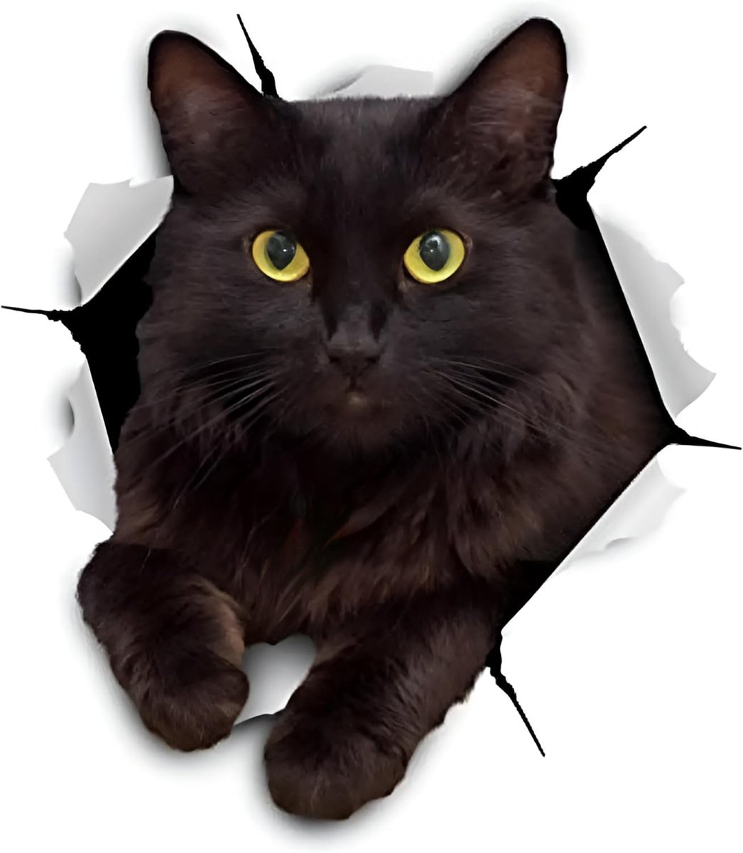 SnelShoppen - 3D Zwarte Kattensticker Set van 2, Waterdichte Autostickers, Zelfklevende Bumperstickers voor Voertuigen, Laptops en Koffers, 10,82 cm