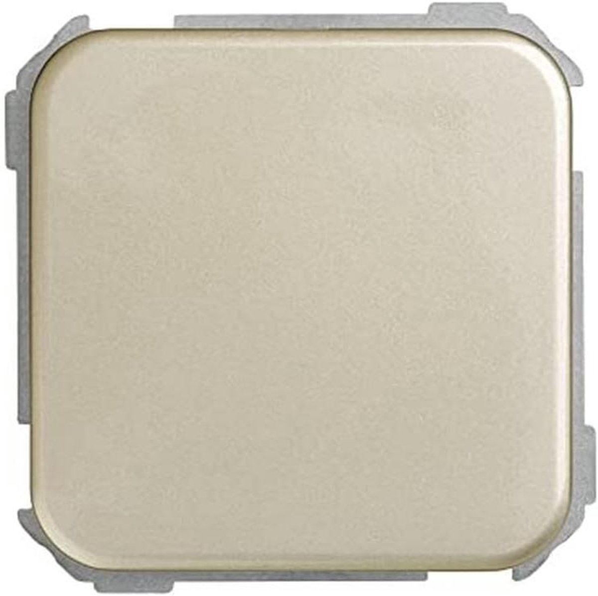 Blind Plaat - Afdekplaat Schakelaar - Wandafwerking - Eenvoudige Installatie - 64 x 65 mm - Champagne