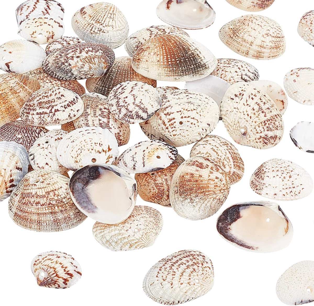 50 stuks natuurlijke schelpen, 24 ~ 29 mm gekleurde jakobsschelp, schelp, strandschelp, zeeschelp, voor sieraden, halskettingen, ontwerpen, kaarsenmaken, thuis, feest, bruiloft, decoratie,