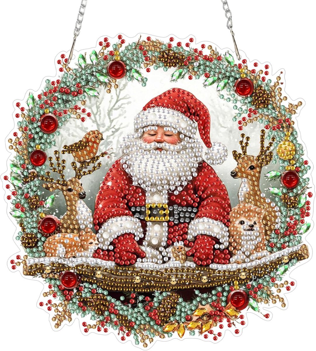 Diamond Painting DIY Kerstman Diamant Schilderij Hanger voor Volwassenen Beginners, Dieren Speciaal Gevormde Strass-steentjes Gem Arts Hangende Venster Muur Deur Tuin Ornamenten, Dubbelzijdig