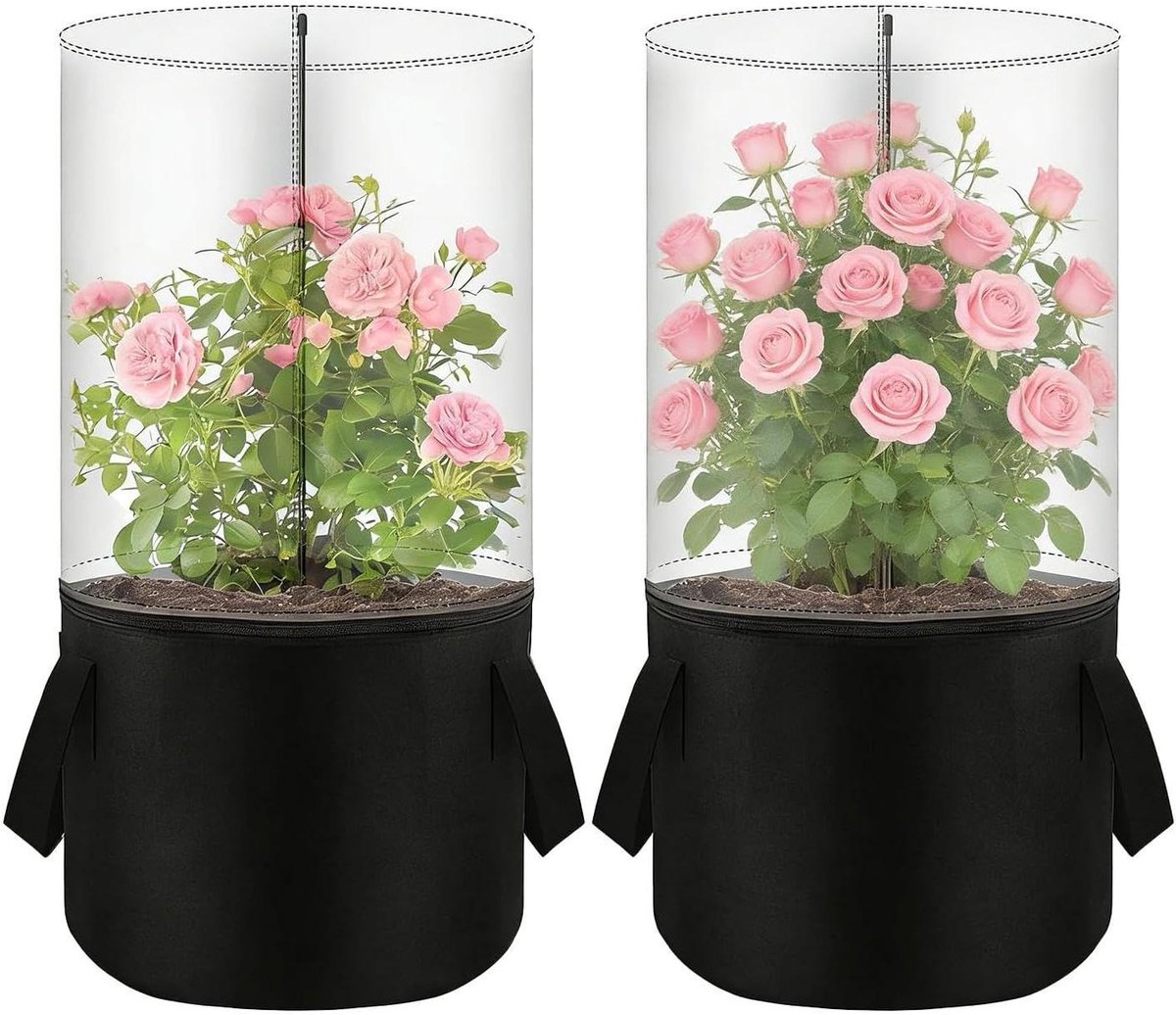 Mini plantenkas - Koude beschermhoes - Planten beschermen - Vorstbescherming - 40 x 29 x 29 cm - Transparant