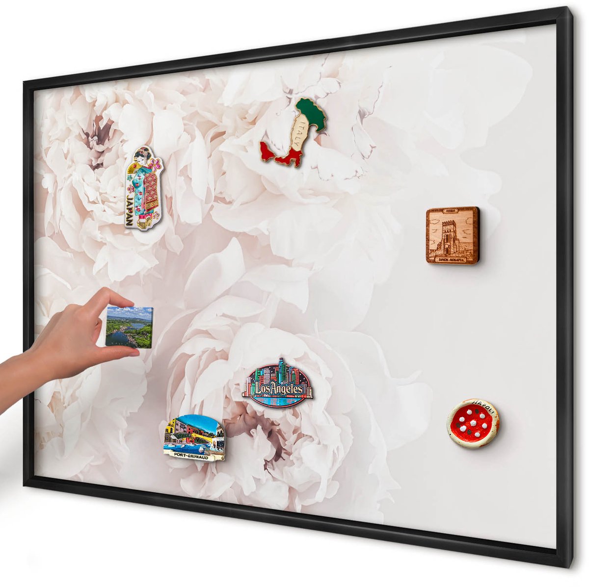 Artprintcave Wit Magneetbord mit Zwart Frame - 100x70 cm - Witte Pioenrozen Magnetisch Bord Voor Magneten - Minimalist Magnetisch Bord - Bloemen En Planten
