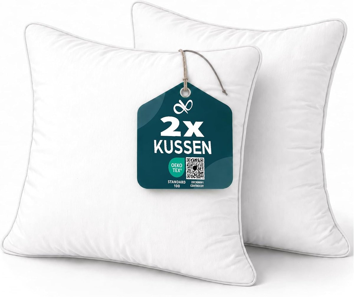 SnelShoppen - Set van 2 Decoratieve Kussens 40 x 40 cm, Hypoallergene Sofakussens met Binnenkussen, Anti-Mijt, Zachte Microvezel Kussensloop, Verwijde