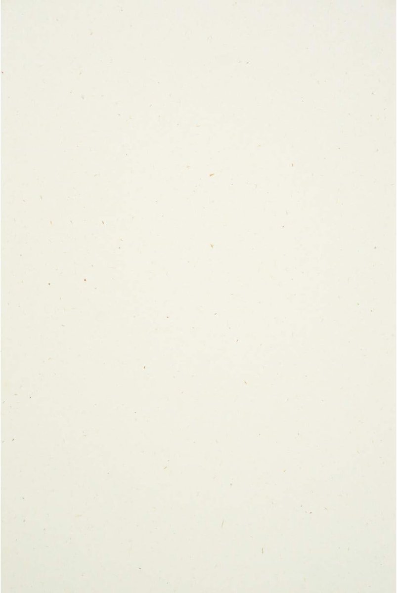 50x natuurlijk papier ecru DIN A4 21x29,7cm 130g Flora Anice gerecycled eco organisch creatief knutselpapier natuurlijk voor uitnodigingen DIY projecten decoratie kunst