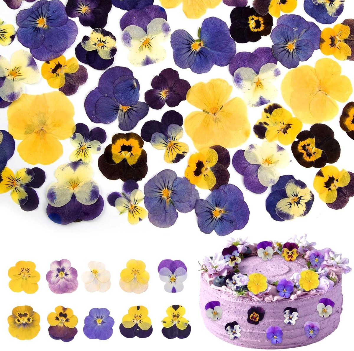 SolidKeus - Set van 50 Gedroogde Bloemen voor Creatieve Projecten