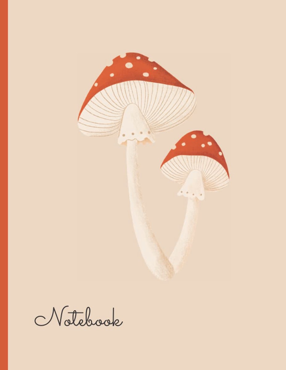 Notebook: Blank Lined Notebook, College Ruled, Aesthetic Notebooks For School