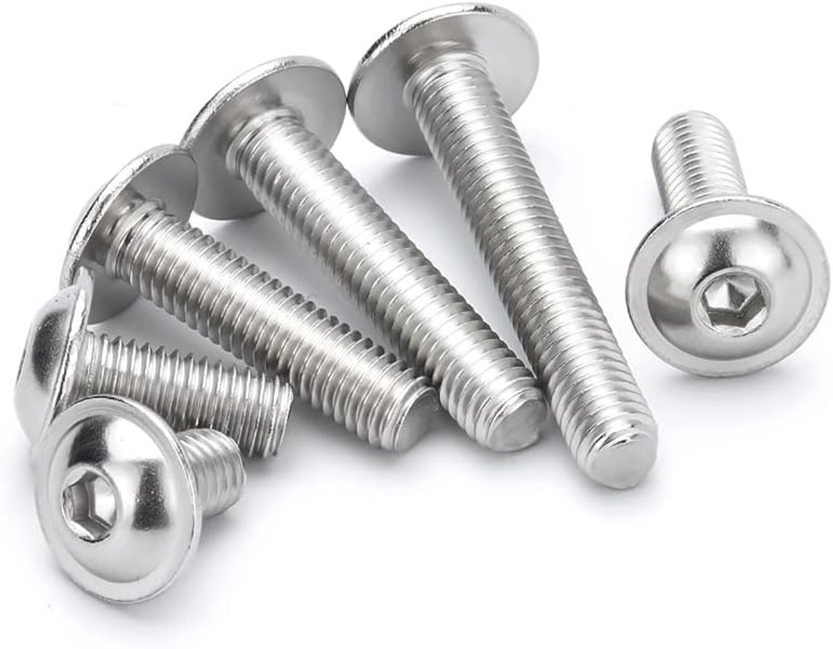 Roestvrij staal binnenzeskantbout met ring, M3×16mm,100 stuks