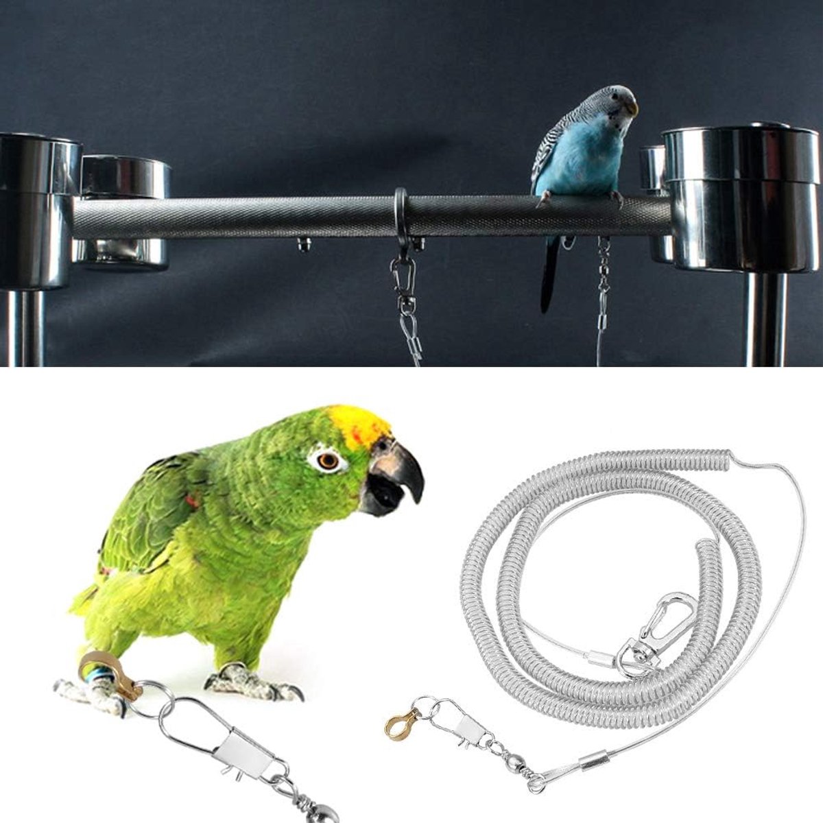 SnelShoppen - Parrot Bird Anti-bite Vliegtraining Touwlijn Kits voor Cockatiels en Sterlinken - 6m Duurzaam en Lichtgewicht Anti-bijt Vliegtraining To
