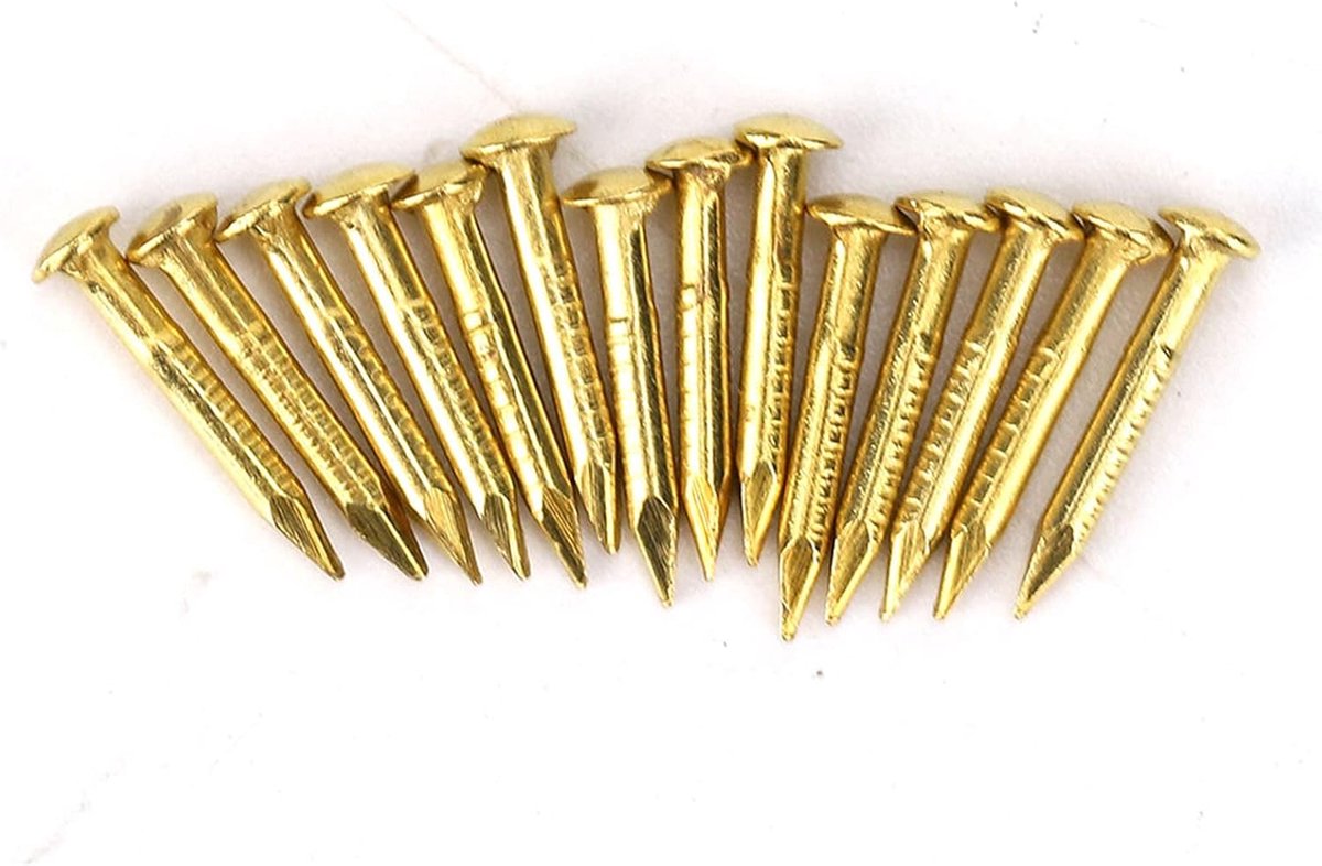 SnelShoppen - Messing Wandspijkers, Ronde Hoofd Brad Spijkers voor Meubel Scharnieren en Houtwerk 10mm Lengte Set van 100 Stuks voor Houtbewerkers