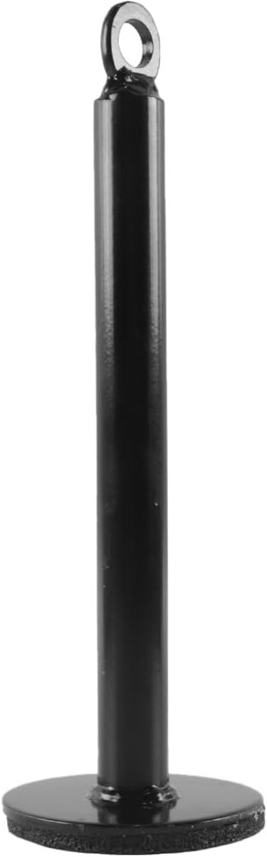 SnelShoppen - Gewichtslast Pen, Gewichtschijf Pens, Ondersteuningsframe, Vrije Gewicht Bar Loader Fitness Apparatuur 20x 220mm