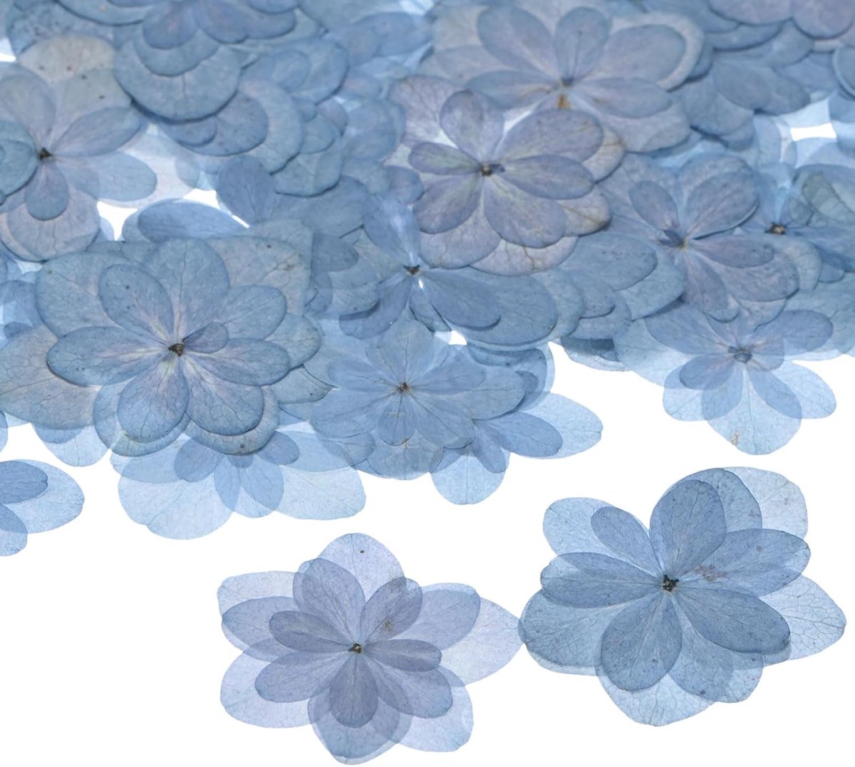 SnelShoppen - 60 Stuks Gedroogde Geperste Bloemen voor Hars, Natuurlijke Bloemen voor Creatieve Projecten, Scrapbooking, Zeep, Kaarsen, Epoxy Resin, B