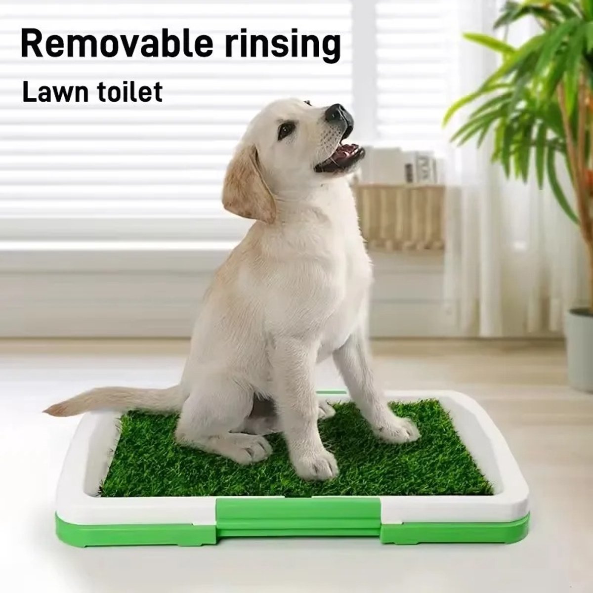 Nuvora Hondentoilet Kunstgras - met 2 Matten en Opvangbak - 45x31cm - Puppy Pads - Zindelijkheidstraining Hond - Training Pads - Indoor / Outdoor Honden Toilet - Vaderdag Cadeau