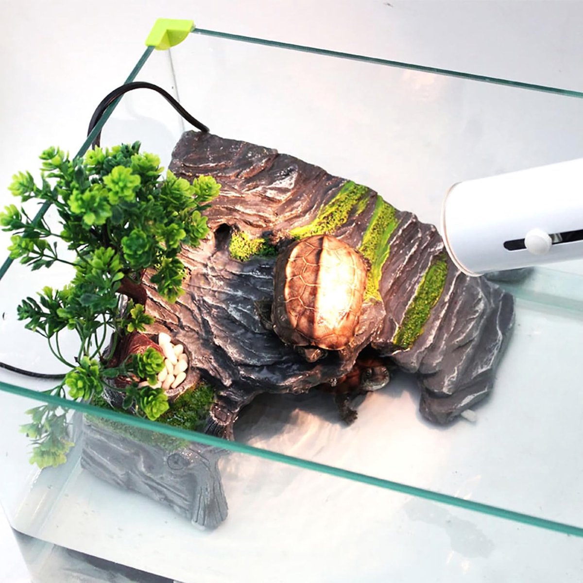 - Schuur voor reptielen - Terrarium - Schuilplaats - Schildpad - Platform - Woondecoratie - Luchtbevochtiger - Hars (XL)