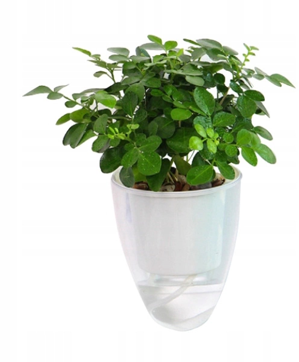 Hangende Bloempot MODERNO 10,5cm - Wit Zelfwaterend