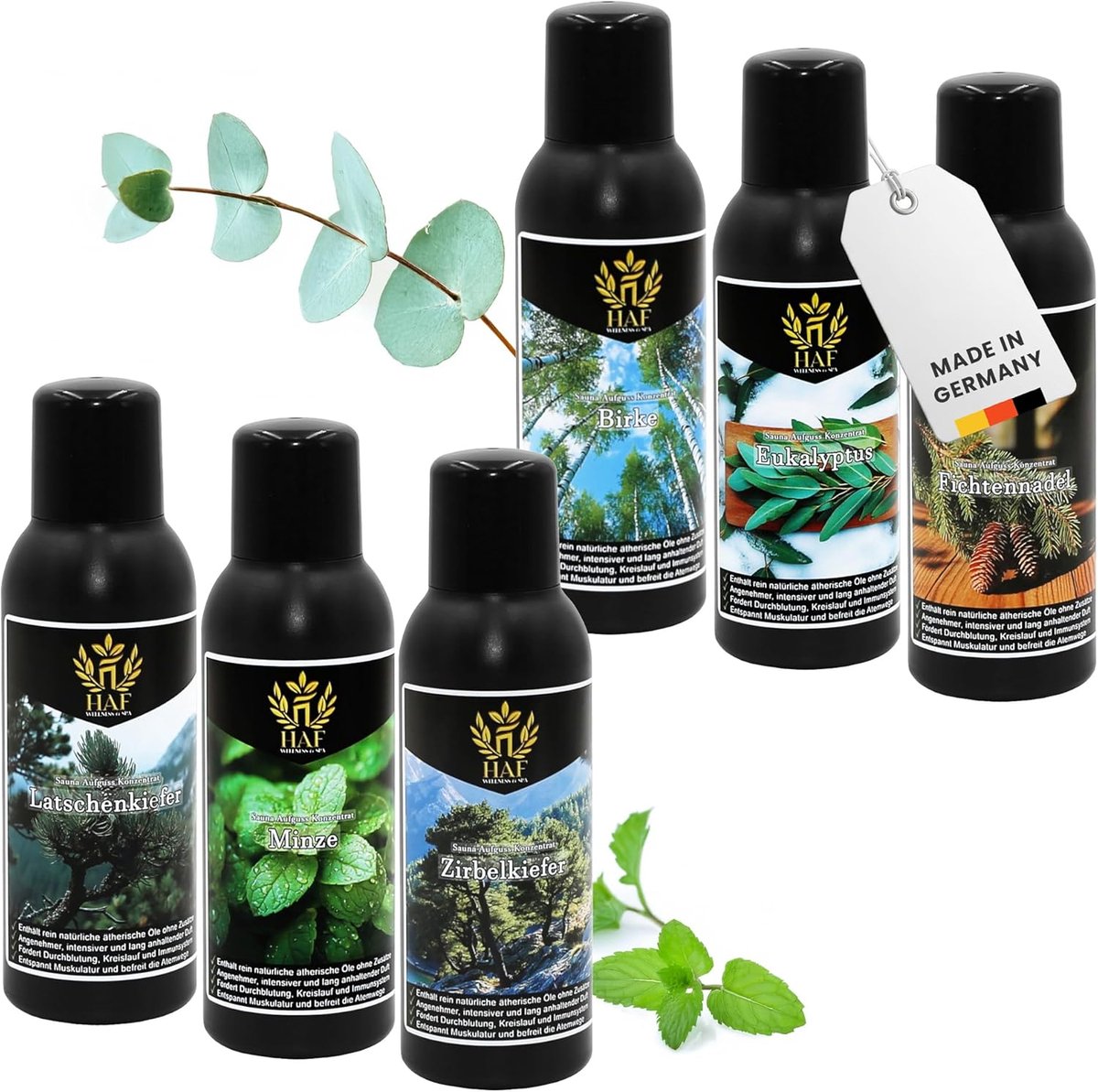 Sauna infusieset 6 x 250 ml - berk, eucalyptus, sparrennaald, latschen, munt, grenen - ShopVlot