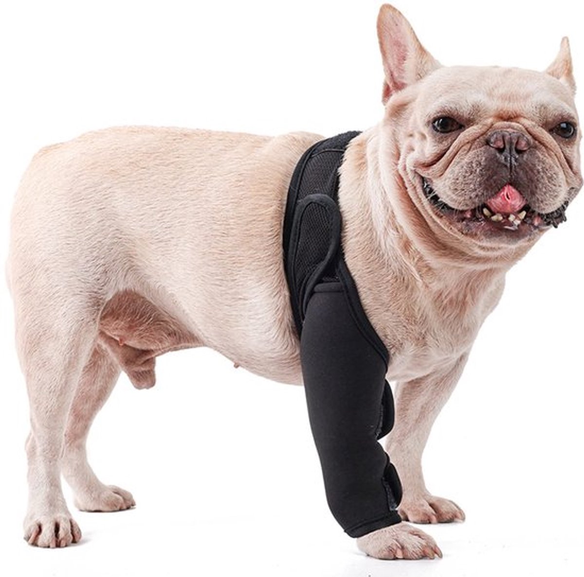 Hond Herstel Mouw, Na Chirurgie Draag Thigh Wond Beschermende Mouw Gewonde Compressie Brace Mouw