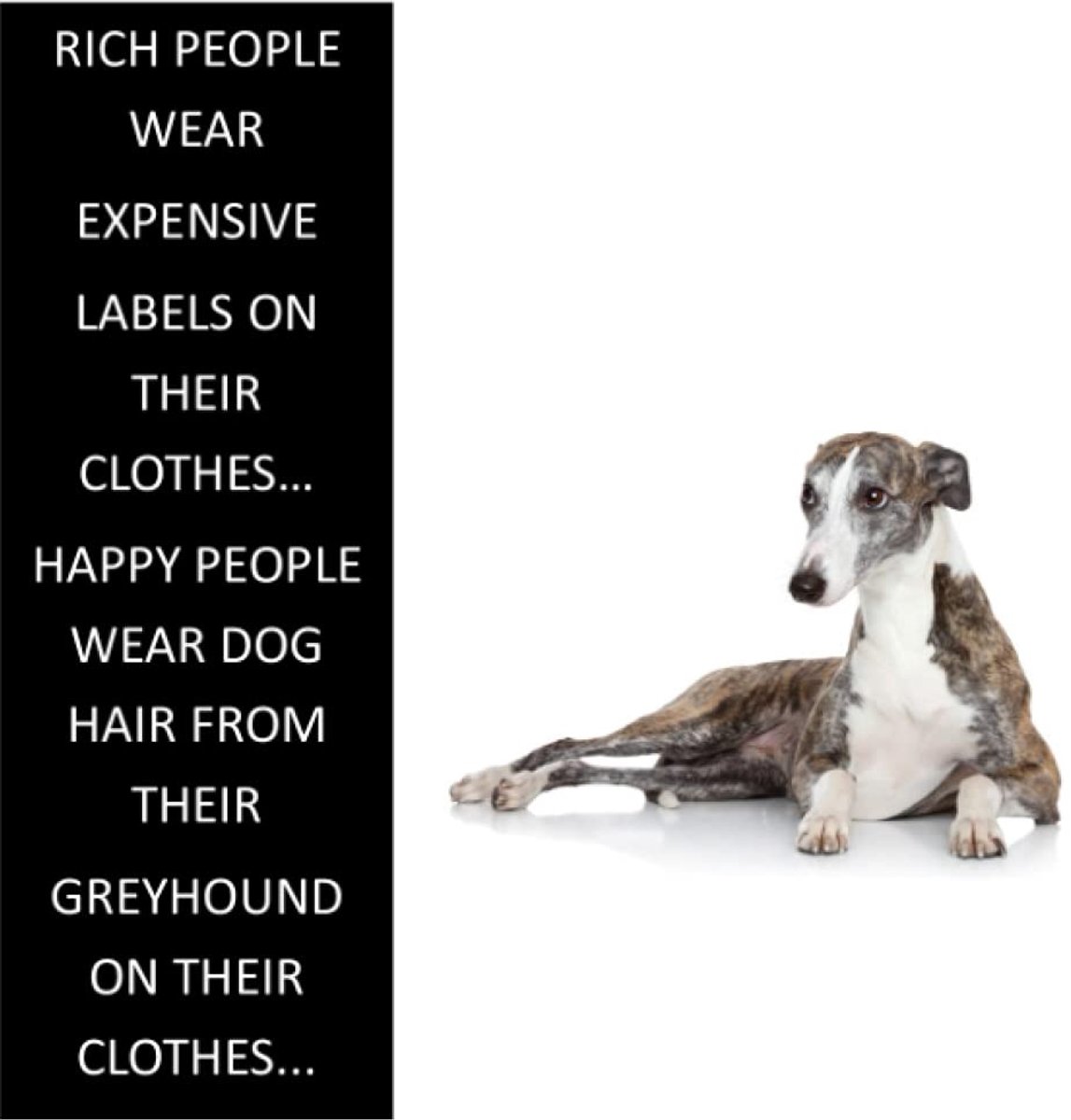 GREYHOUND JOURNAL