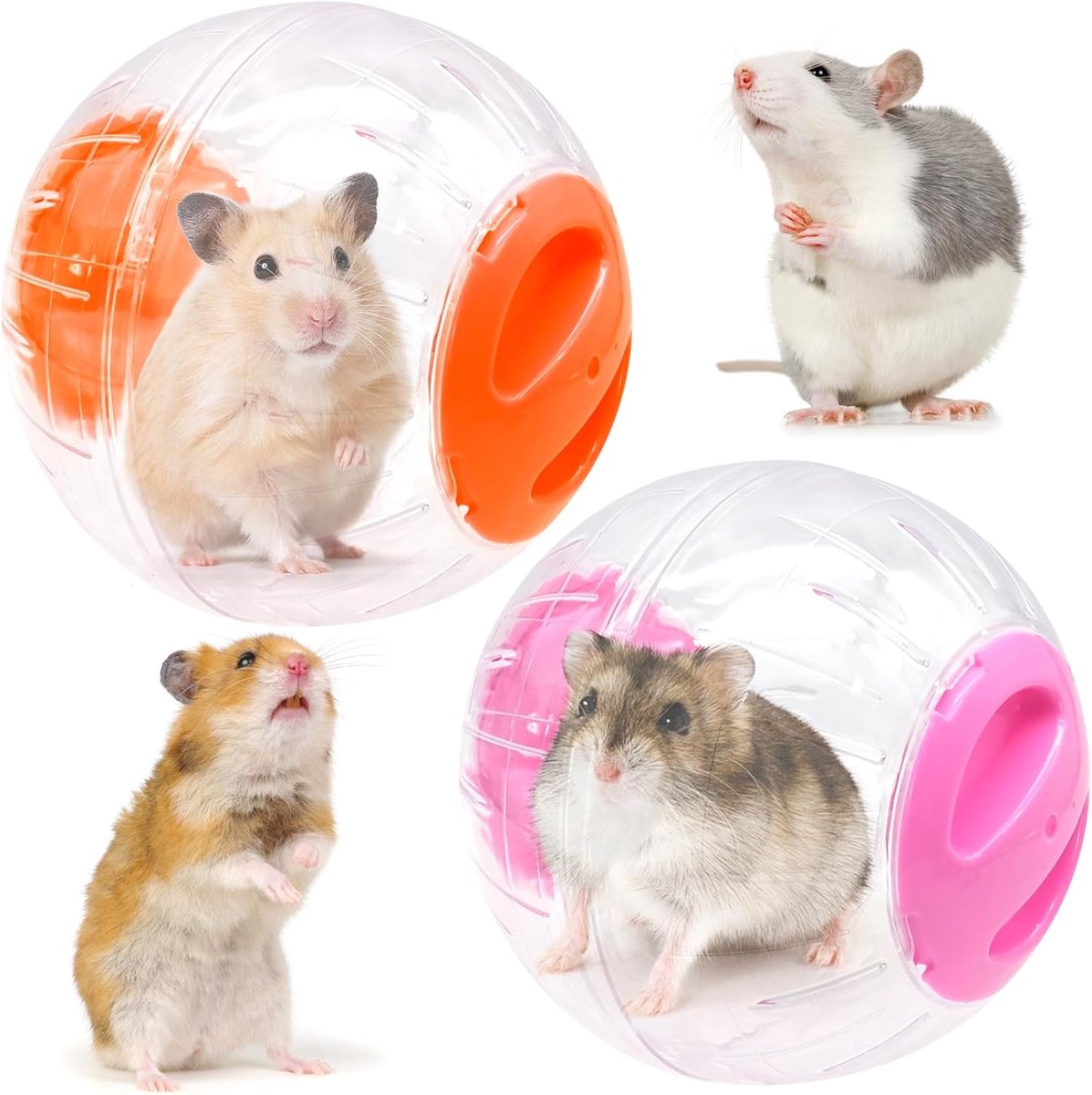 2 stuks hamsterbal, 12 cm kleine dieren dwerghamsterbal, transparant draaiend loopwiel, hamster speelgoed kooi-accessoires voor kleine dieren (rood + oranje)