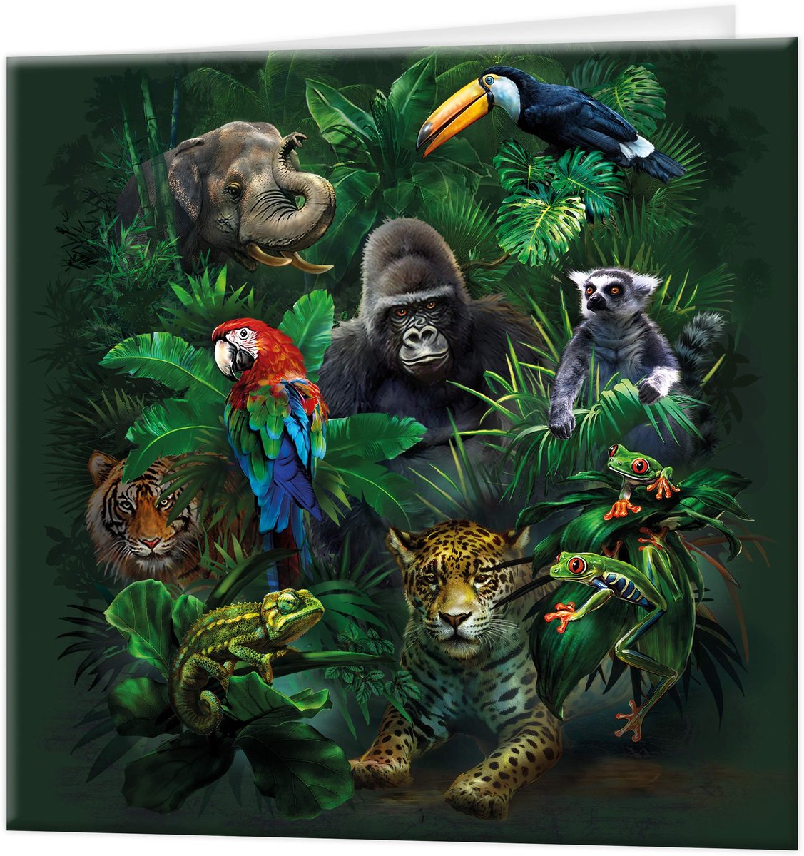 3D-wenskaart junglevrienden - kleurrijke bosdieren - origineel kunstwerk - voor elke gelegenheid - ShopVlot