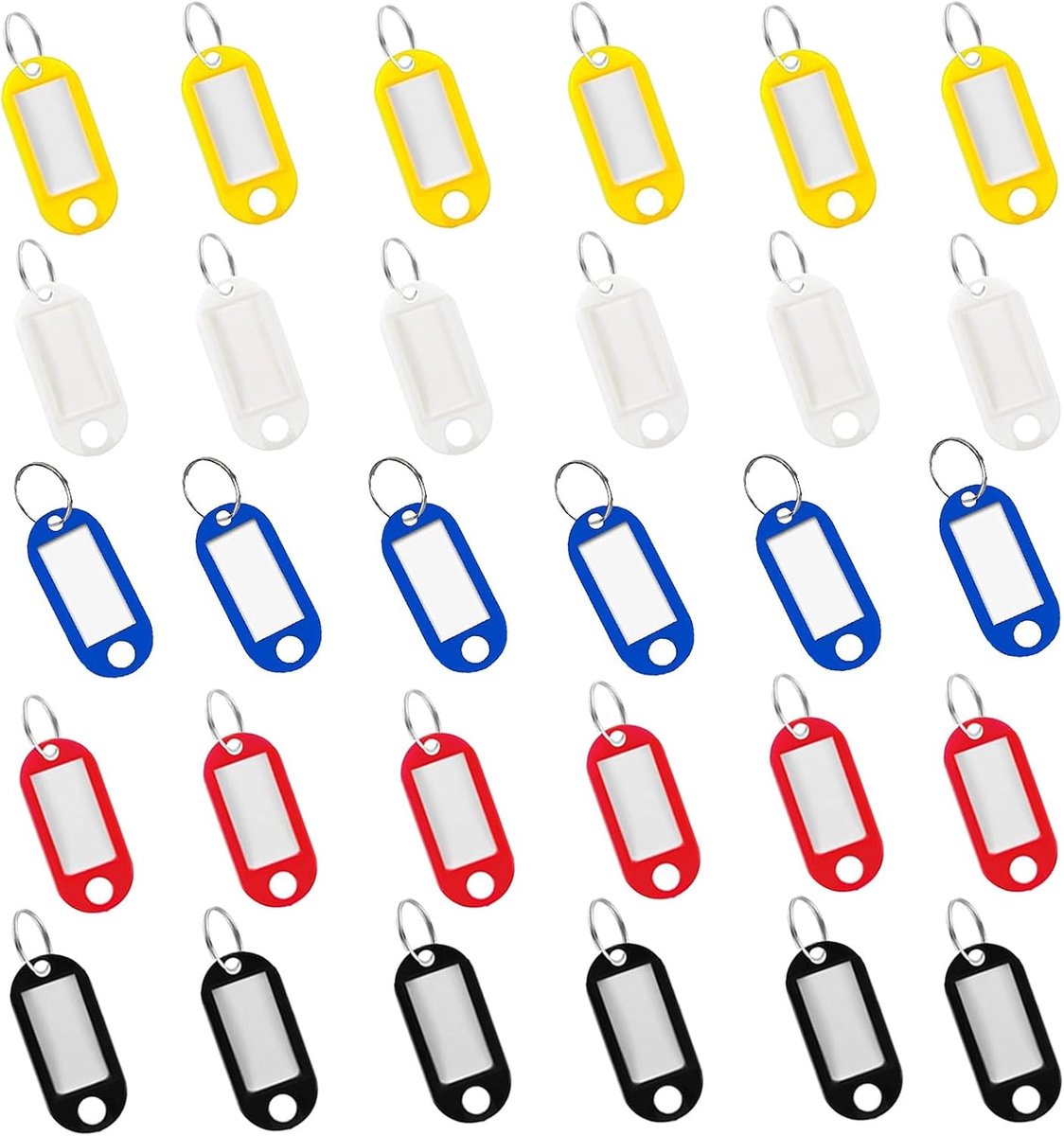 Sleutelhanger met schrijfbare labels - 30 kunststof sleutelhangers met lussen - 5 verwisselbare kleuren - SnelShoppen