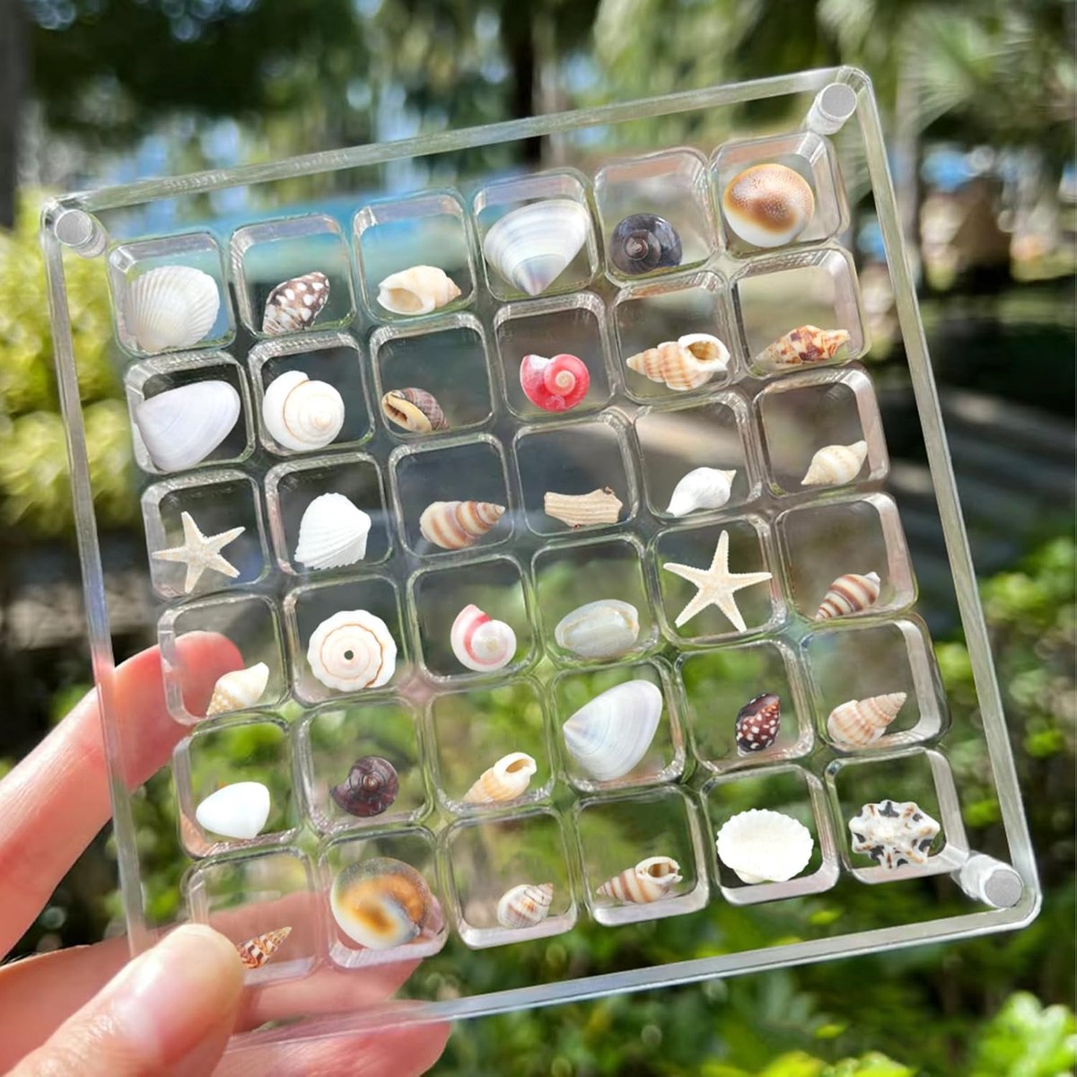 Seashell Display Box 36 vakken - acryl transparant - magnetische sluiting - perfect voor sieraden en verzamelingen - ShopVlot
