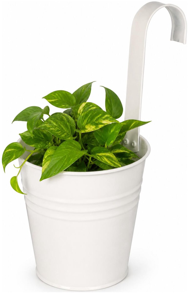 ProGarden Bloempotje met haak - plantenbak zink met ophanghaak - wit - 20 x 13 x 26 cm - ophangbaar - Balkon/schutting plantenpot