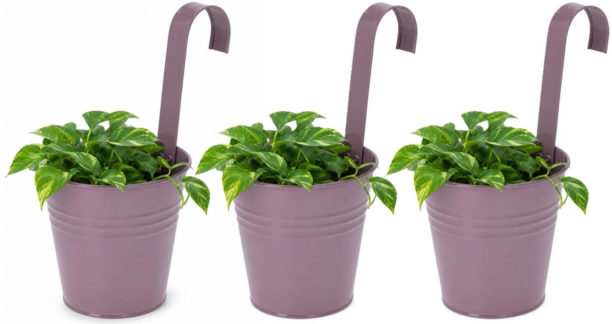 Progarden Bloempotje met haak - 3x - plantenbak zink met ophanghaak - paars - 20 x 13 x 26 cm - ophangbaar- Balkon/schutting plantenpot