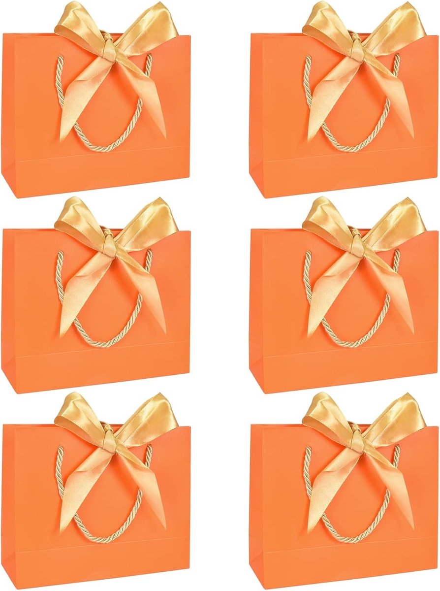 Elegante Papieren Cadeautassen met Touw, 6 Stuks, Grote Tassen voor Kleding, Bruiloft, Kerst en Halloween, 28x20x10 cm (Oranje)