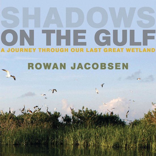Shadows on the Gulf - cover