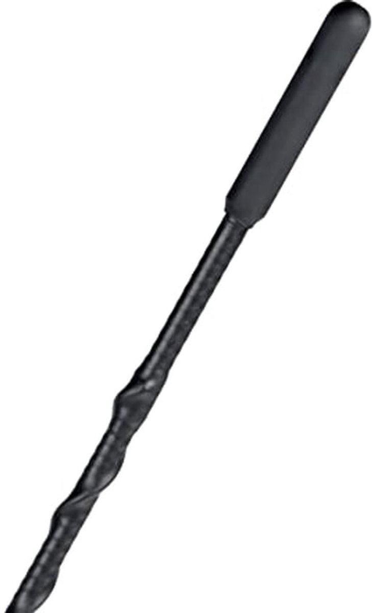 2 Stks Universele Auto Antenne, Zweep Vervanging FM/AM/DAB Luchtfoto Mast voor Dak - Hatchback SUV Truck Van - 16 inch