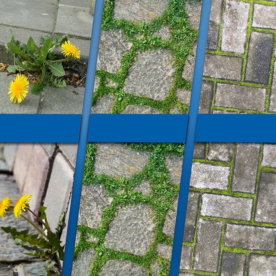 Draadborstelkop voor roterende borstels - Universeel vervangend onkruidmes - Mes - geschikt voor grastrimmers, tuinmaaiers, mos en roest - 6 inch van Merkloos	 — afbeelding 3