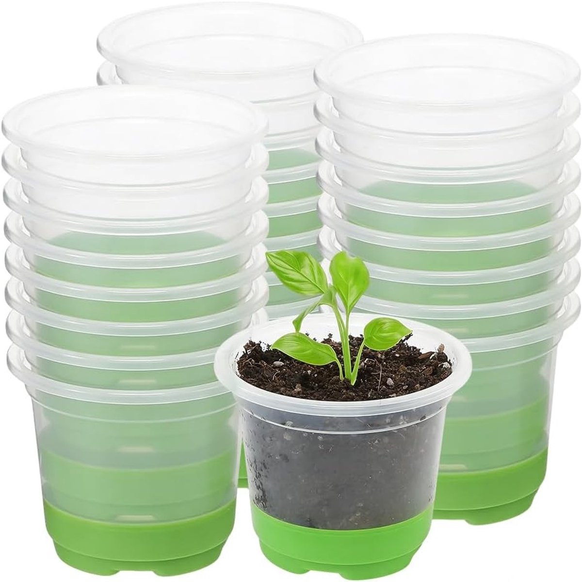 Set van 20 Transparante Kweekpotten met Afwateringsgaten en Siliconen Basis, Herbruikbare en Duurzame Potten voor Vetplanten, Zaden en Zaailingen, Diameter 10 cm