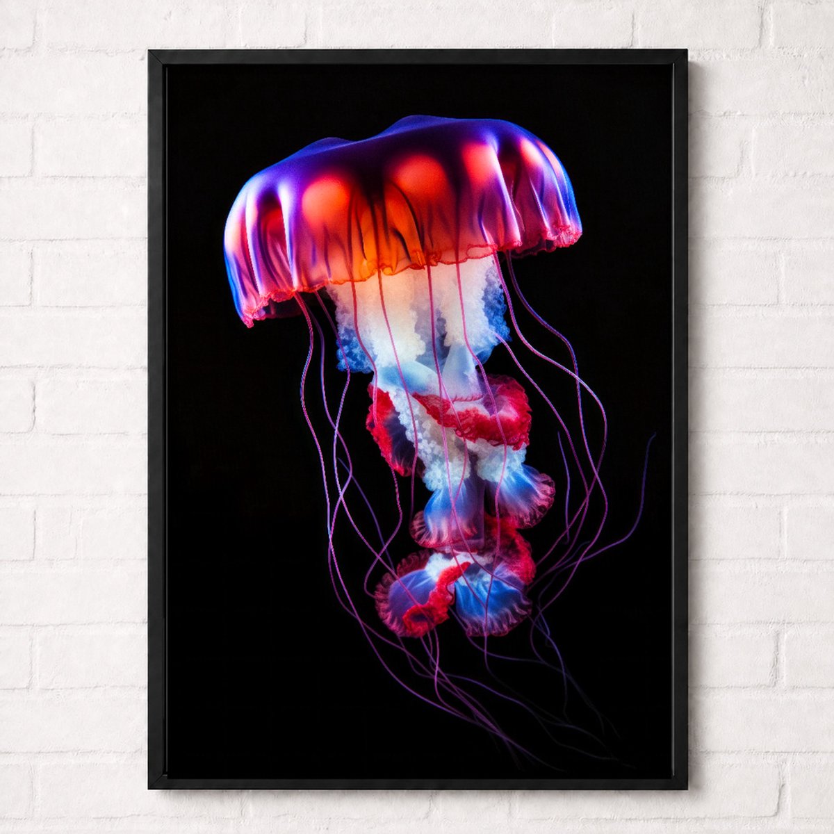 Kwal Poster - Onderwaterwereld Collectie - Dieren Posters - A2+ 43,2 x 61 cm