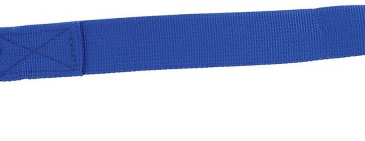 Spanbanden 5 m x 25 mm - Verstelbare Sjorbanden - Heavy Duty - Hoge Sterkte - Polypropyleen - 250kg-500kg Werkdraagvermogen