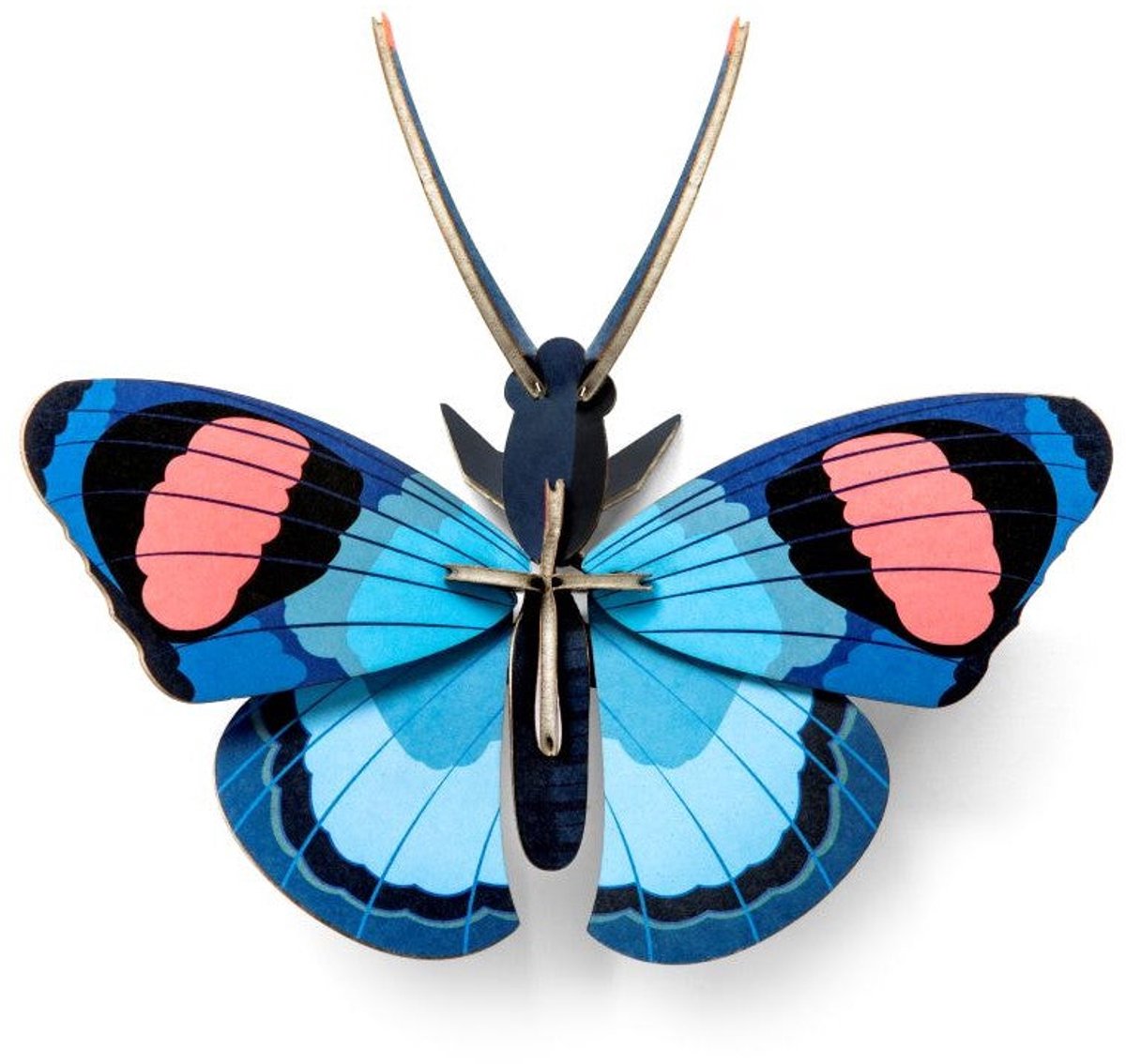 Vlinder Klein - Rosara-Vlinder