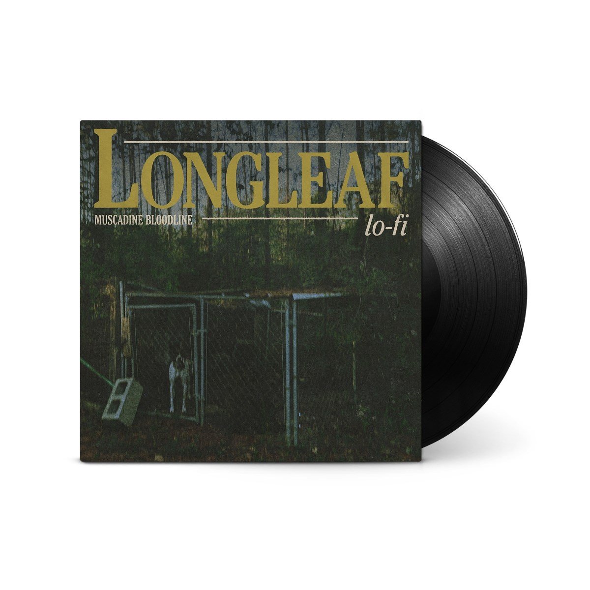 Longleaf Lo-fi