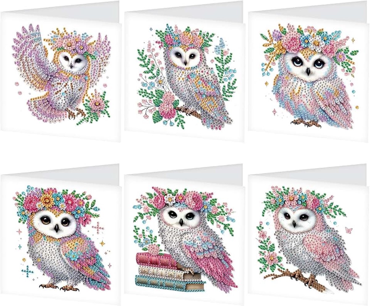 Set van 6 Diamond Painting wenskaarten, uilen, kleurrijk, bloemen, diamond painting kaarten, verjaardagskaarten, bedankkaart, zegenkaart, feestdagkaarten, borduurwerk, kruissteek,